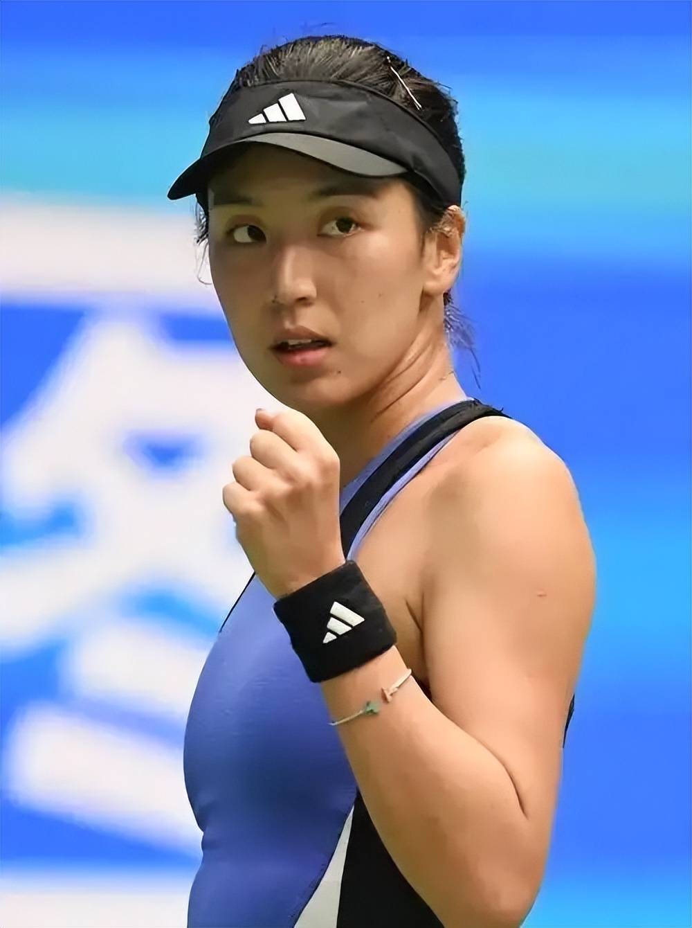 方案